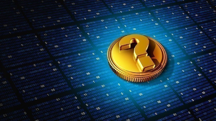 It has been revealed that a single company holds a large portion of this memocoin supply