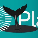 Whales dominate the launch of plasma