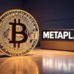 Metaprenet has more bitcoin than Tesla