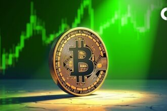 Bitcoin is pumping, but the fun is missing: what's going on?