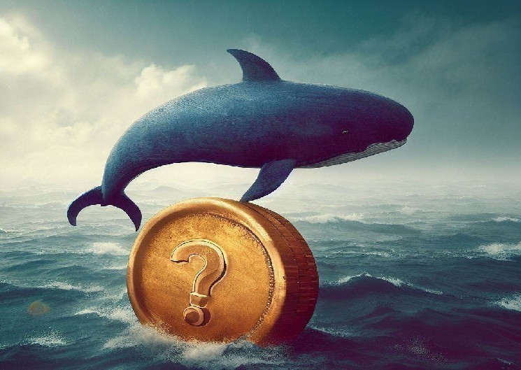Here is their latest Altcoin transaction