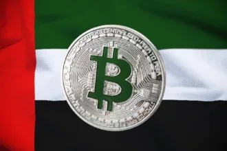 UAE Yacht and Shipyard Company currently accepts crypto payments