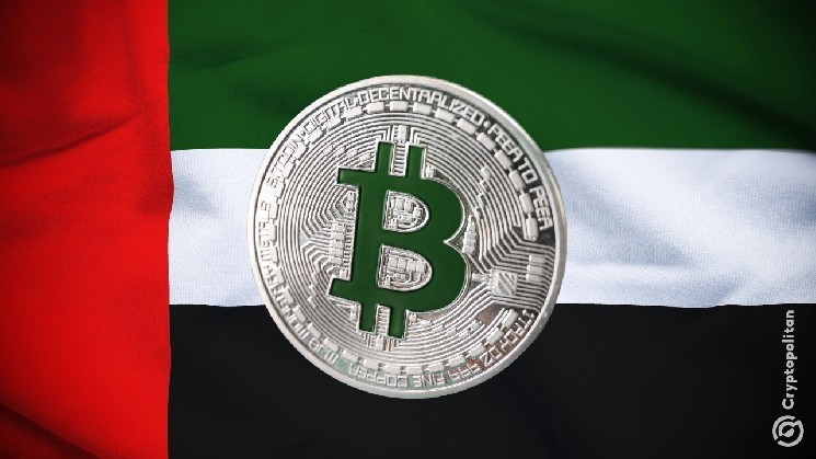 UAE Yacht and Shipyard Company currently accepts crypto payments