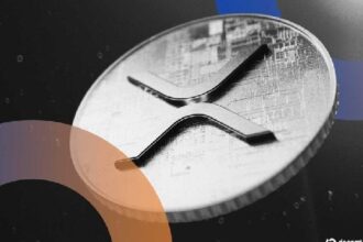 What does genius mean to XRP investors?