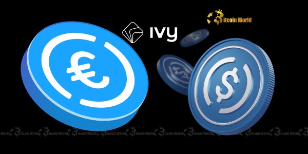 German Fintech Ivy unlocks seamless USDC Eurc integration