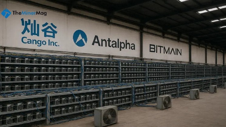 Cango completes 18 Eh/s mining acquisitions, surpassing 50 EH/s as Antalpha Ties deepens