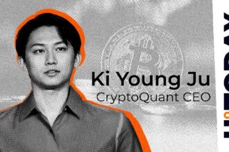 According to Cryptoquant CEO, the 80,000 BTC that made the headline may be from a 2011 hack
