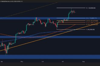 BTC will rarely revisit ATH before testing its $111,000 support