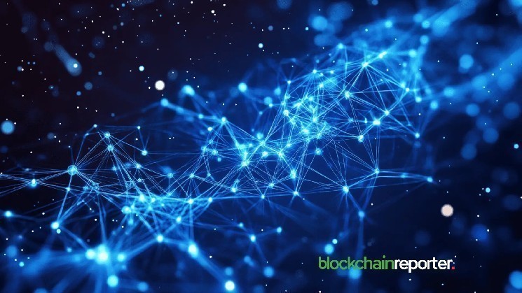 Internet Capital Market: Investor Guide