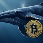 Two Bitcock Woke up 14 years later
