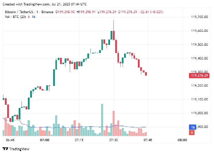 Price chart for Bitcoin in the past few hours of trading, July 21, 2025