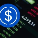 Circle's stocks surged 500% after the IPO in June, reaching a market capitalization of $42 billion