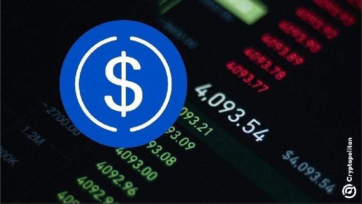 Circle's stocks surged 500% after the IPO in June, reaching a market capitalization of $42 billion