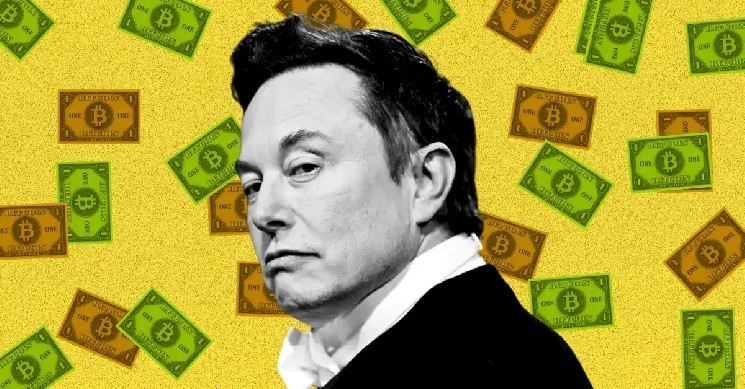 Is Elon Musk secretly buying Bitcoin?