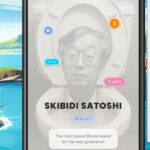 Do you want to create a performance of a Bitcoin wallet? This is a victory project for Skibidi.cash