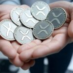 "XRP will ultimately have a green light with clear laws."