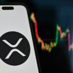 What are the brakes on the XRP Climb?