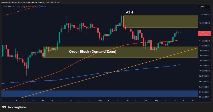 BTC's new ATH path depends on maintaining these support levels