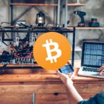 SHIBA INU WITH A CROWN