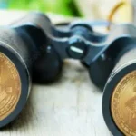 Largavistas con bitcoin estampados en sus visores.