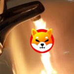 Shiba Inu SHIB Burn