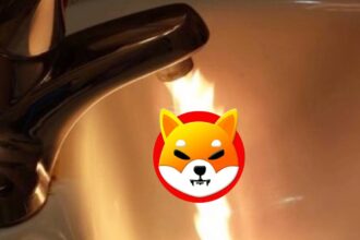 Shiba Inu SHIB Burn
